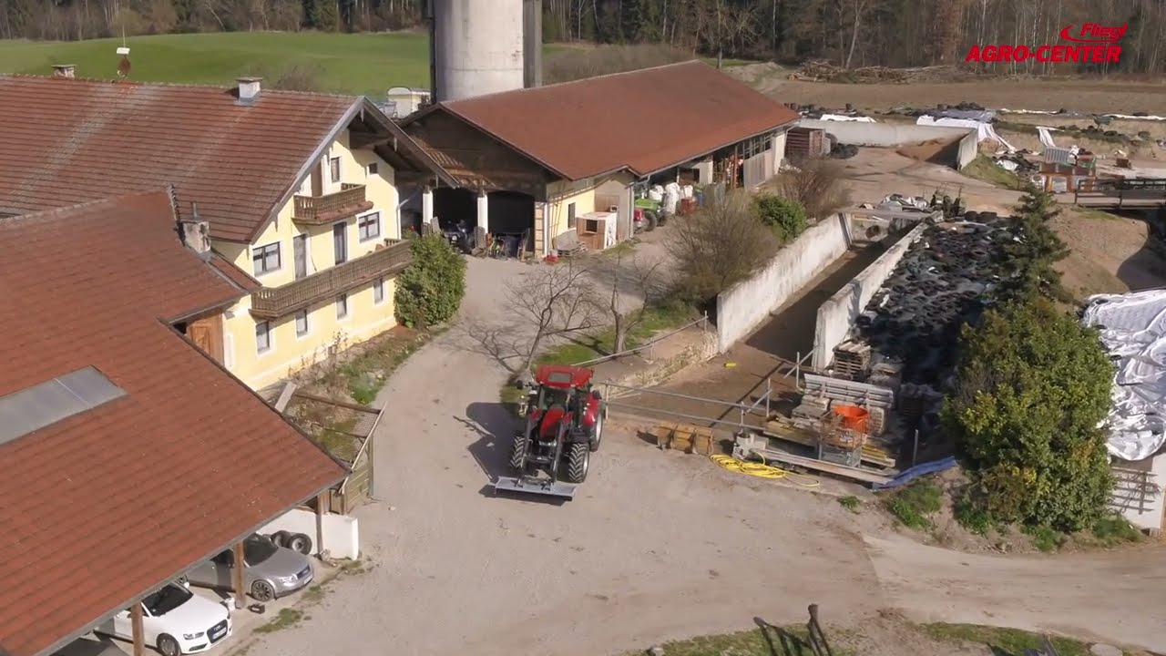 Balai à pousser Löwe