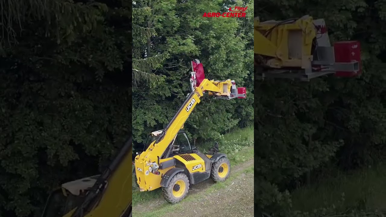 Lamier à scies « WoodKing Duo » Fliegl #shorts